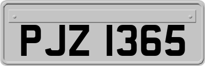 PJZ1365