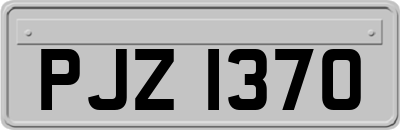 PJZ1370