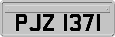 PJZ1371