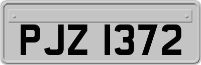 PJZ1372