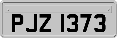 PJZ1373