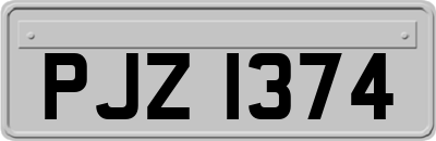 PJZ1374