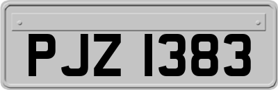 PJZ1383