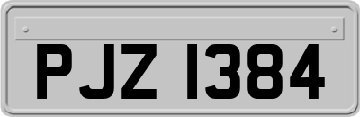 PJZ1384