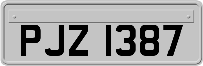 PJZ1387