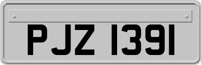 PJZ1391