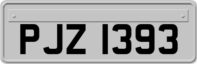 PJZ1393