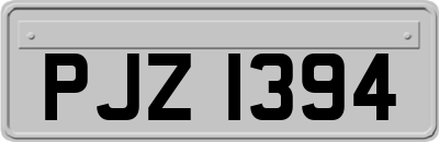 PJZ1394