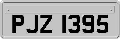 PJZ1395