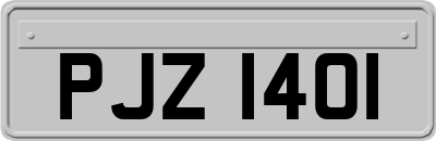 PJZ1401