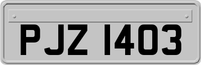 PJZ1403
