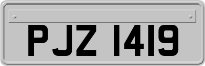 PJZ1419