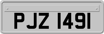 PJZ1491