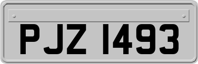 PJZ1493