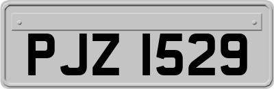 PJZ1529