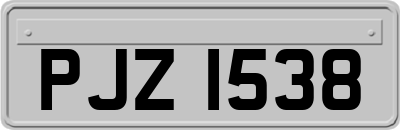 PJZ1538