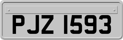 PJZ1593