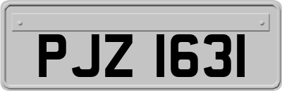 PJZ1631