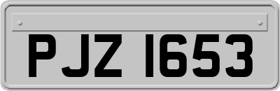 PJZ1653