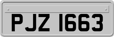 PJZ1663