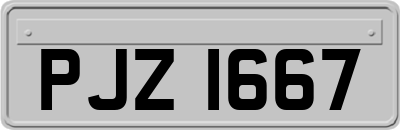PJZ1667