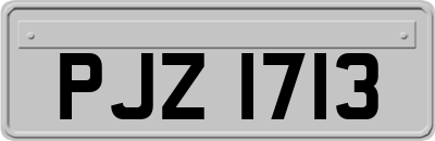 PJZ1713
