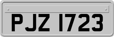 PJZ1723