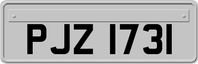 PJZ1731