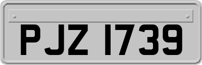 PJZ1739