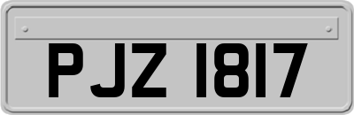 PJZ1817