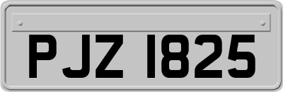 PJZ1825