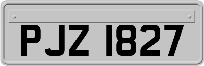 PJZ1827