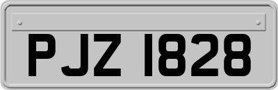 PJZ1828