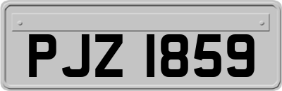 PJZ1859