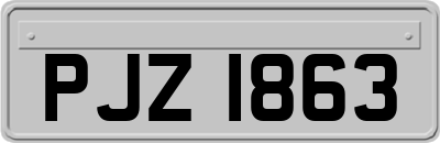PJZ1863