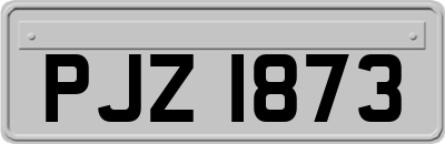 PJZ1873