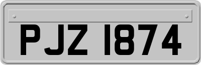 PJZ1874