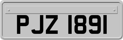 PJZ1891