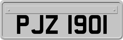 PJZ1901
