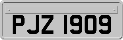 PJZ1909