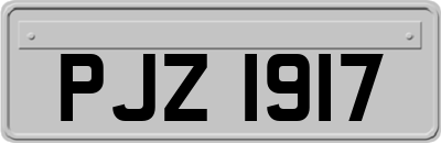 PJZ1917
