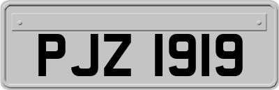 PJZ1919