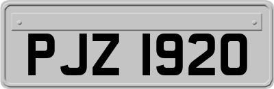PJZ1920