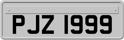 PJZ1999