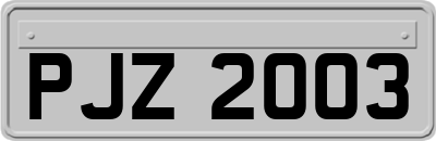 PJZ2003
