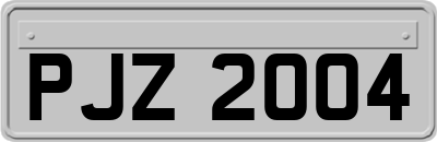 PJZ2004