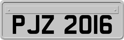 PJZ2016