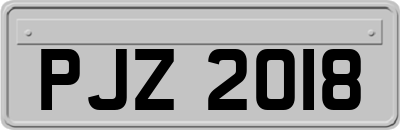 PJZ2018