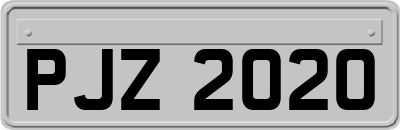 PJZ2020