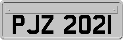 PJZ2021